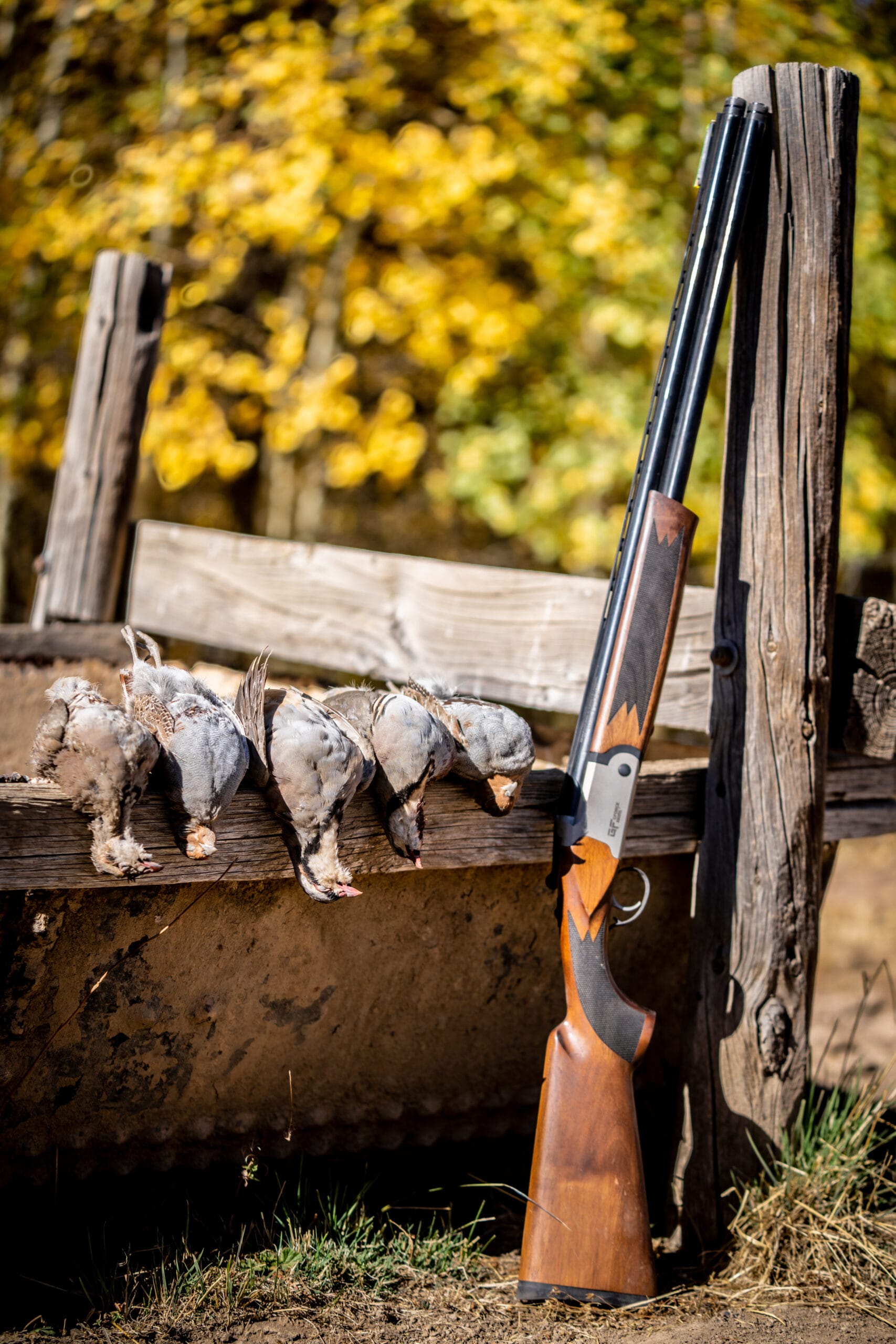 Nevada Chukar Season 2024:  Best Hunting Spots Revealed! - b1vxr54