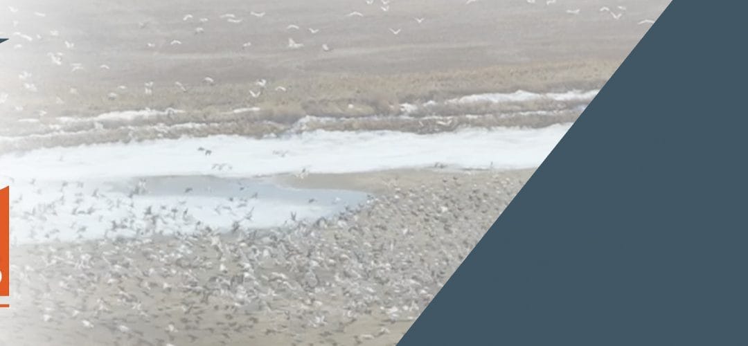 Giveaway – GForce ONE at Worldwide Fall Trade Show 2023